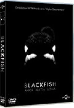 Blackfish
