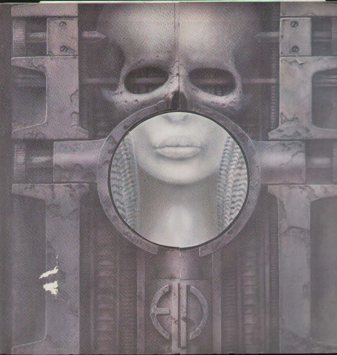 Brain Salad Surgery