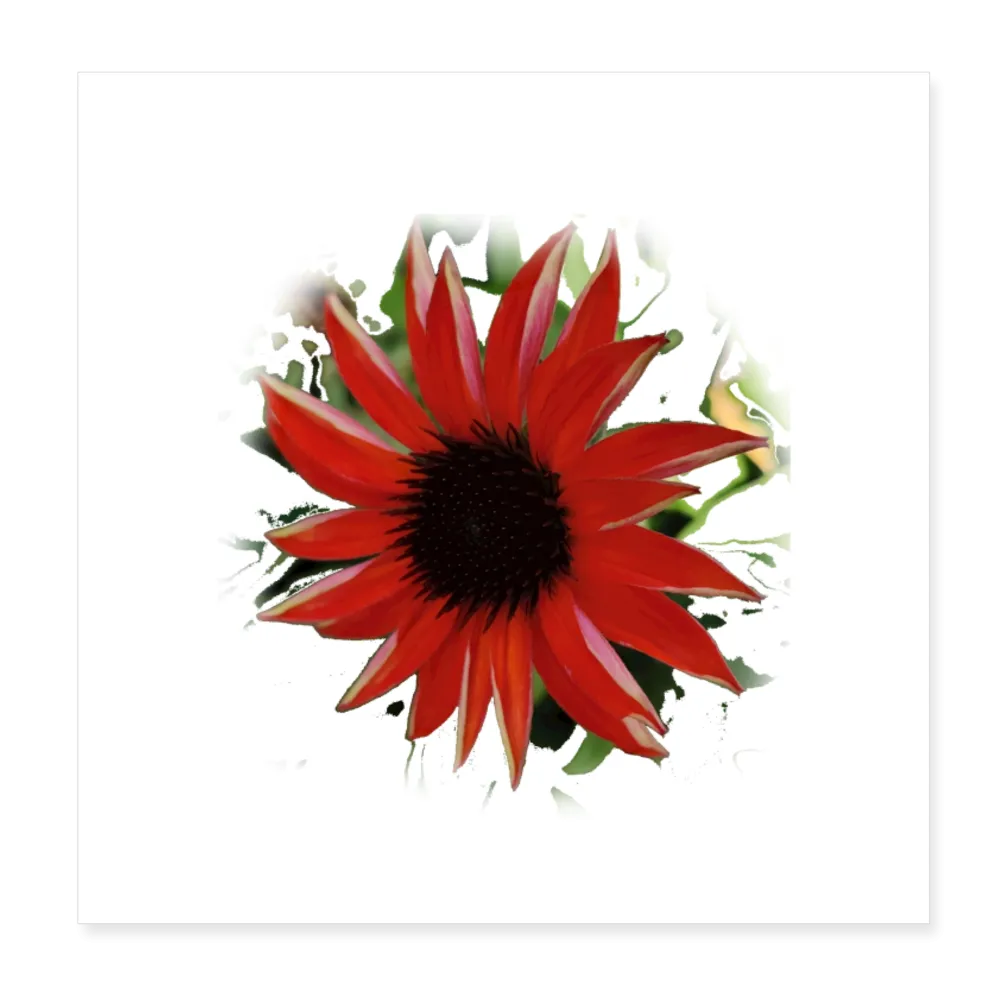 BURST Poster 8x8