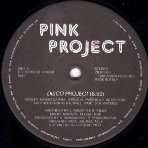 Disco Project