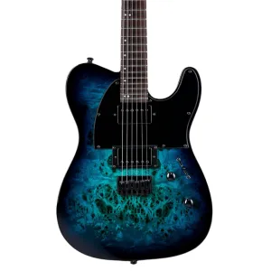 ESP LTD TE-200DX Electric Guitar - Blue Burst