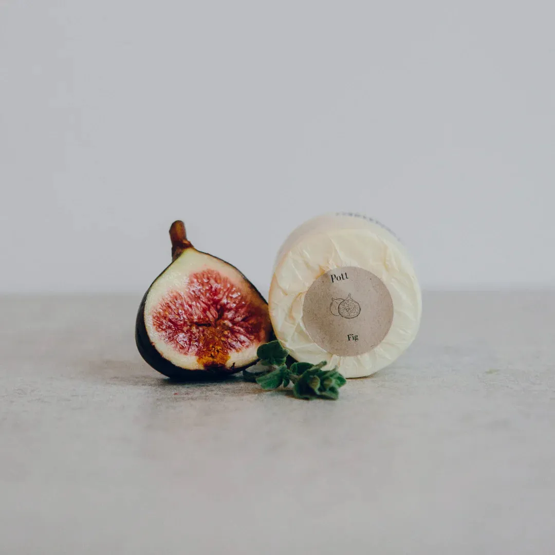 Fig Petite Refill