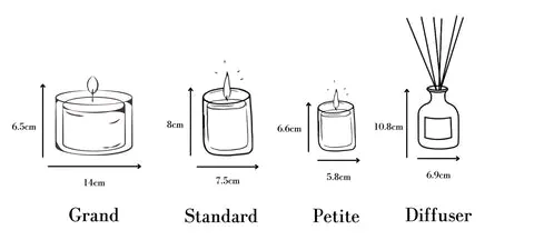Fig Petite Refill