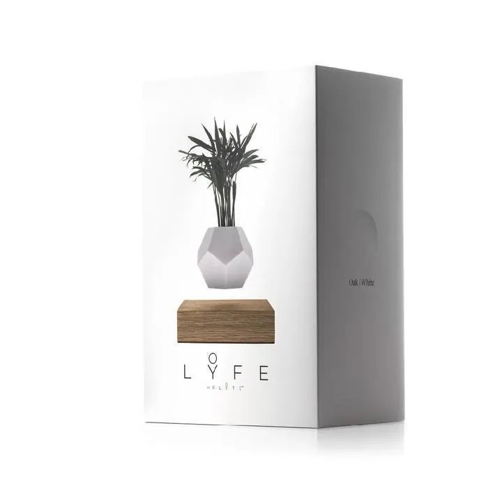Flyte Lyfe Plant, Oak