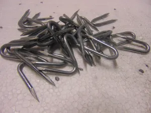 Galvanised Fencing Staples 40X4MM 20KG Tub