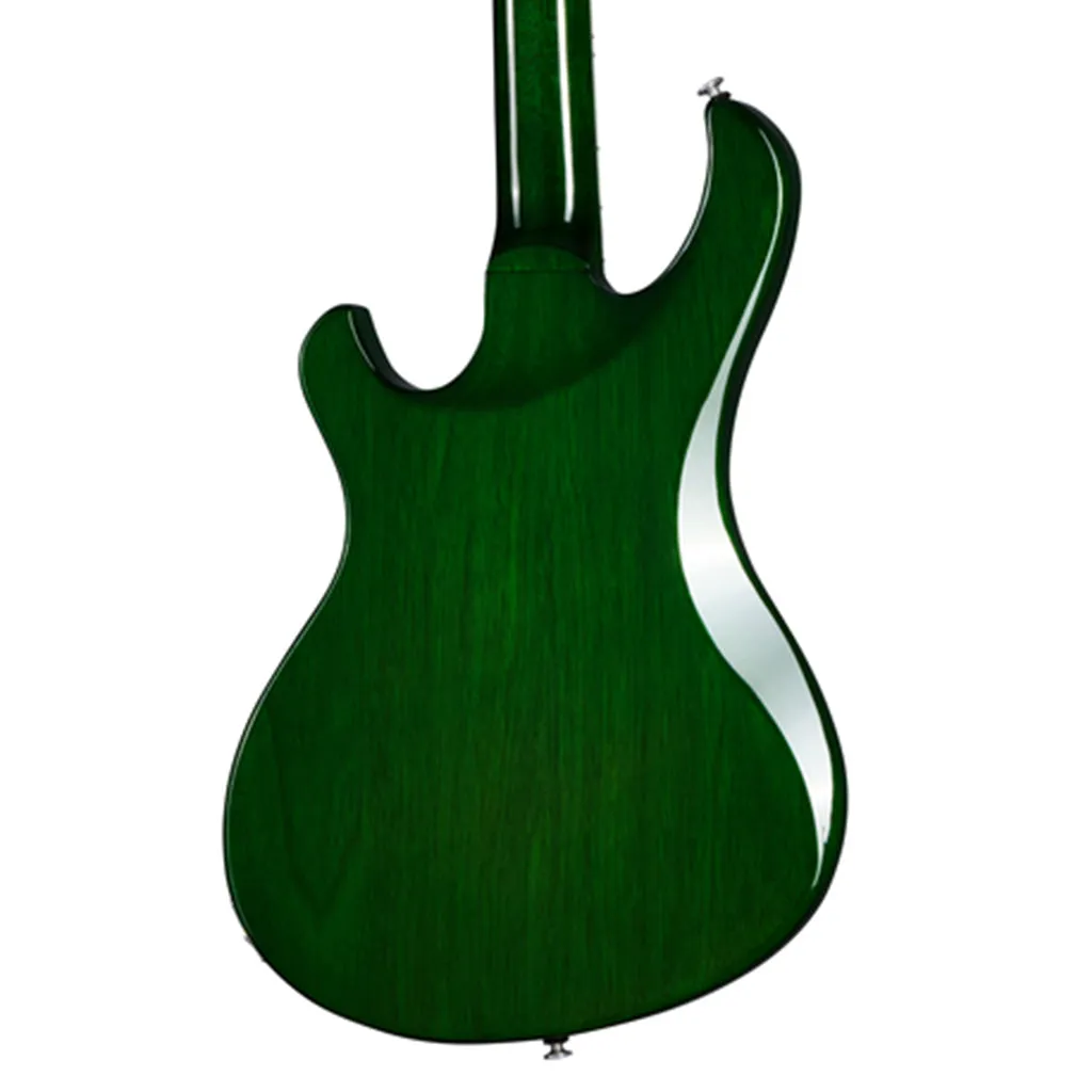 Gibson Victory Figured Top Iguana Burst
