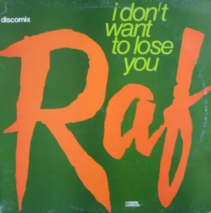 I Don't Want To Lose You