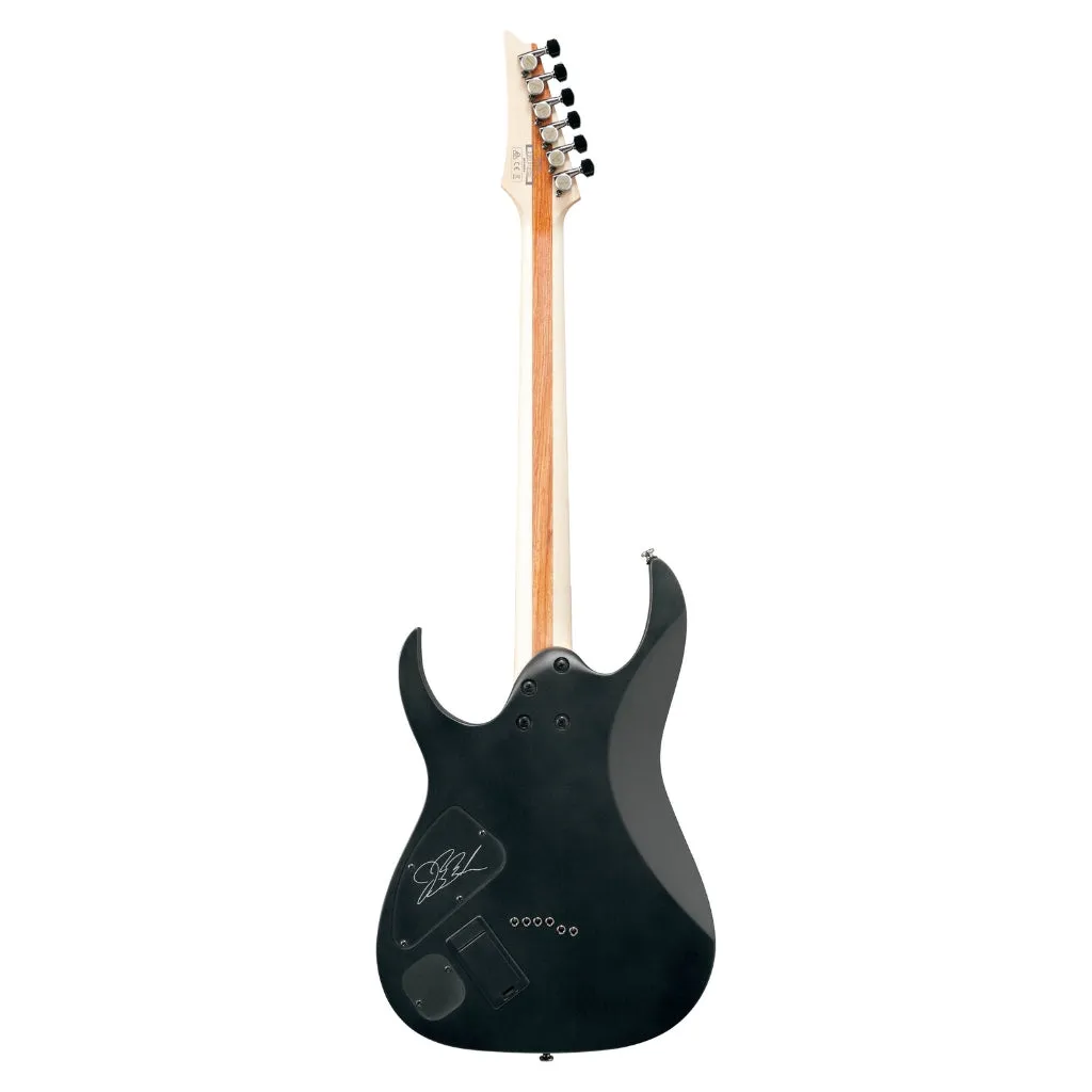 Ibanez JBBM30 JB Brubaker Signature Model - Black Flat