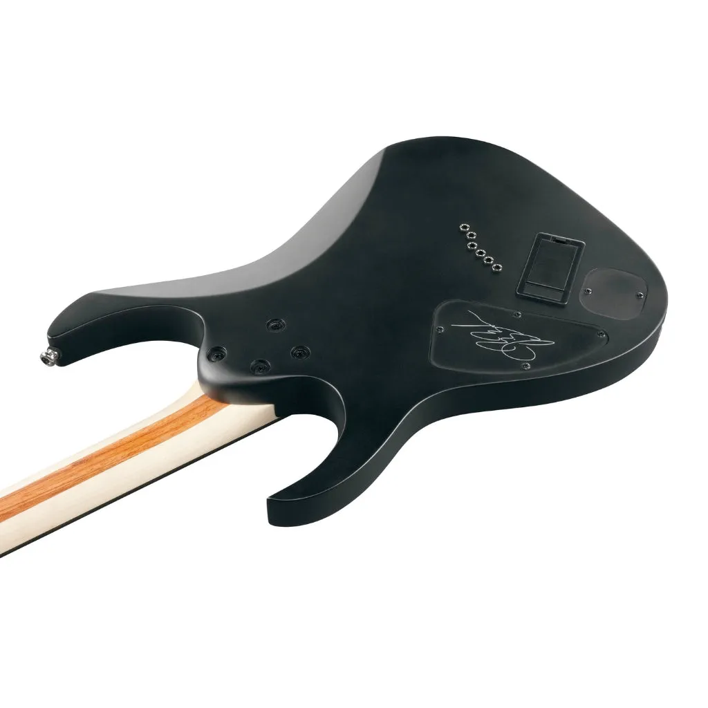 Ibanez JBBM30 JB Brubaker Signature Model - Black Flat