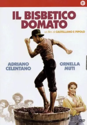 Il Bisbetico Domato
