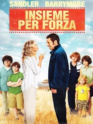 Insieme per forza