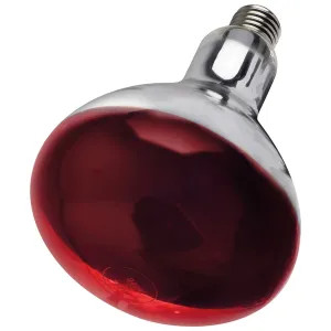 Intelec Hard Glass Infra-Red Heat Bulb 250w