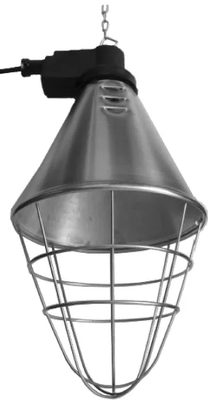 Intelec LEC250RN Eco Infra-Red Heat Lamp with Reducer