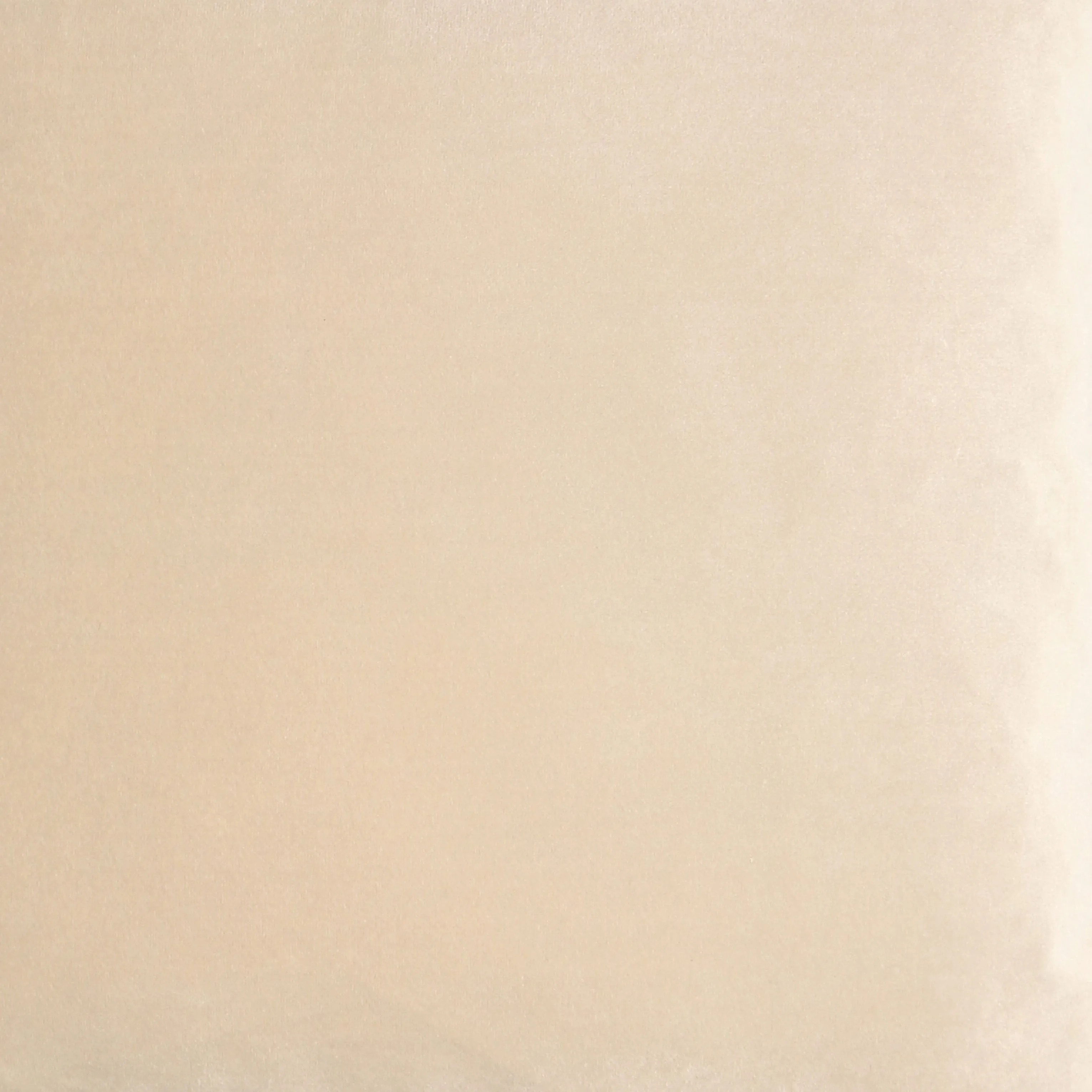 Luxe Matt Velvet Cushion | Champagne | 50x50cm