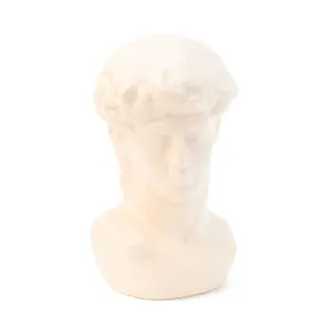 Michelangelo's David Bust Statue | White