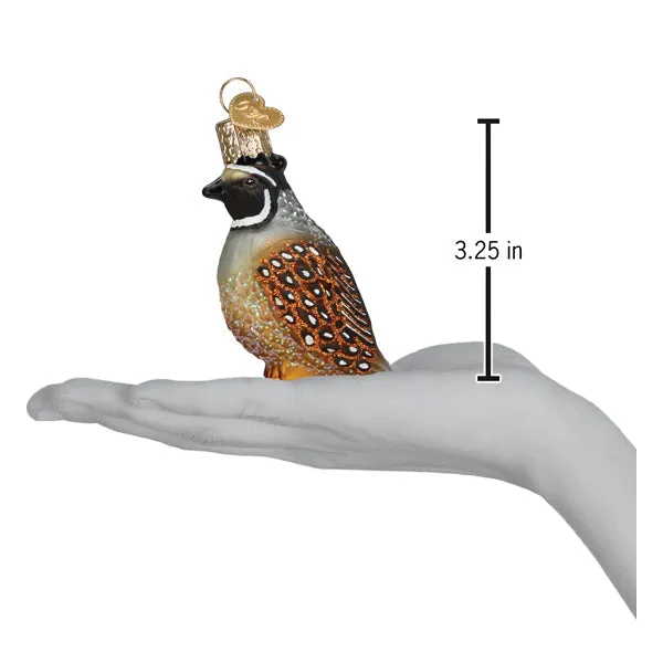 Old World Christmas Quail Ornament