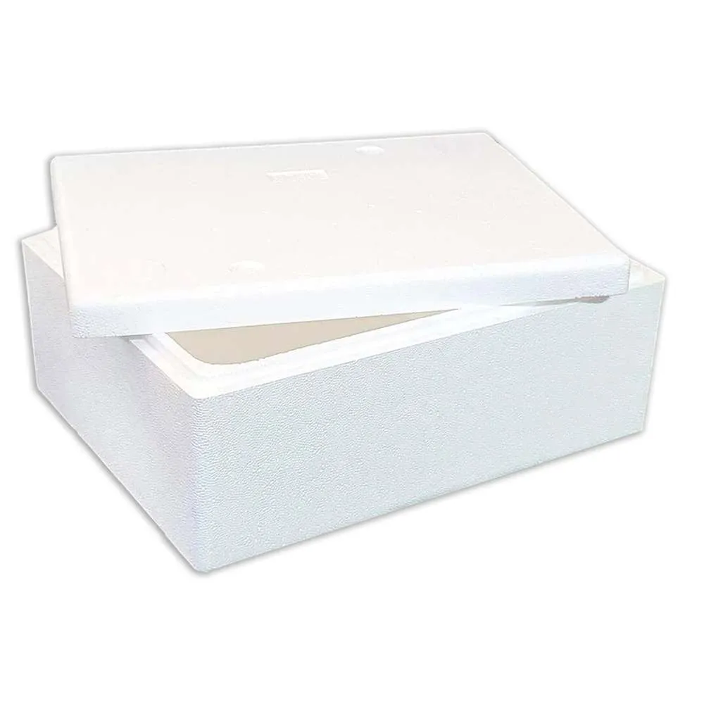 Polystyrene Ice Box Medium