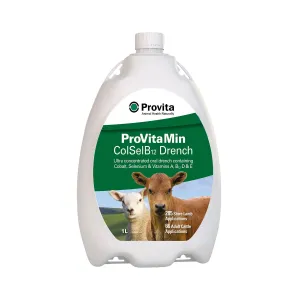 Provita Provitamin Colsel B12