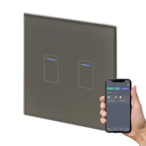 Retrotouch Crystal  Touch WIFI Switch 240v 2G Grey