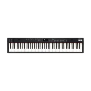 Roland RD-88EX 88-Key Professional Digital Stage Piano
