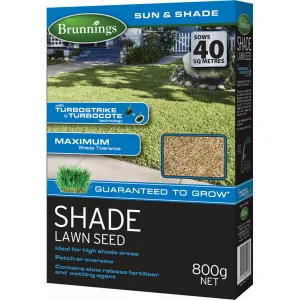 Shade Lawn Seed, 800gm