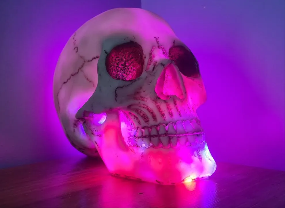 SKULL LAMP-put together by me
