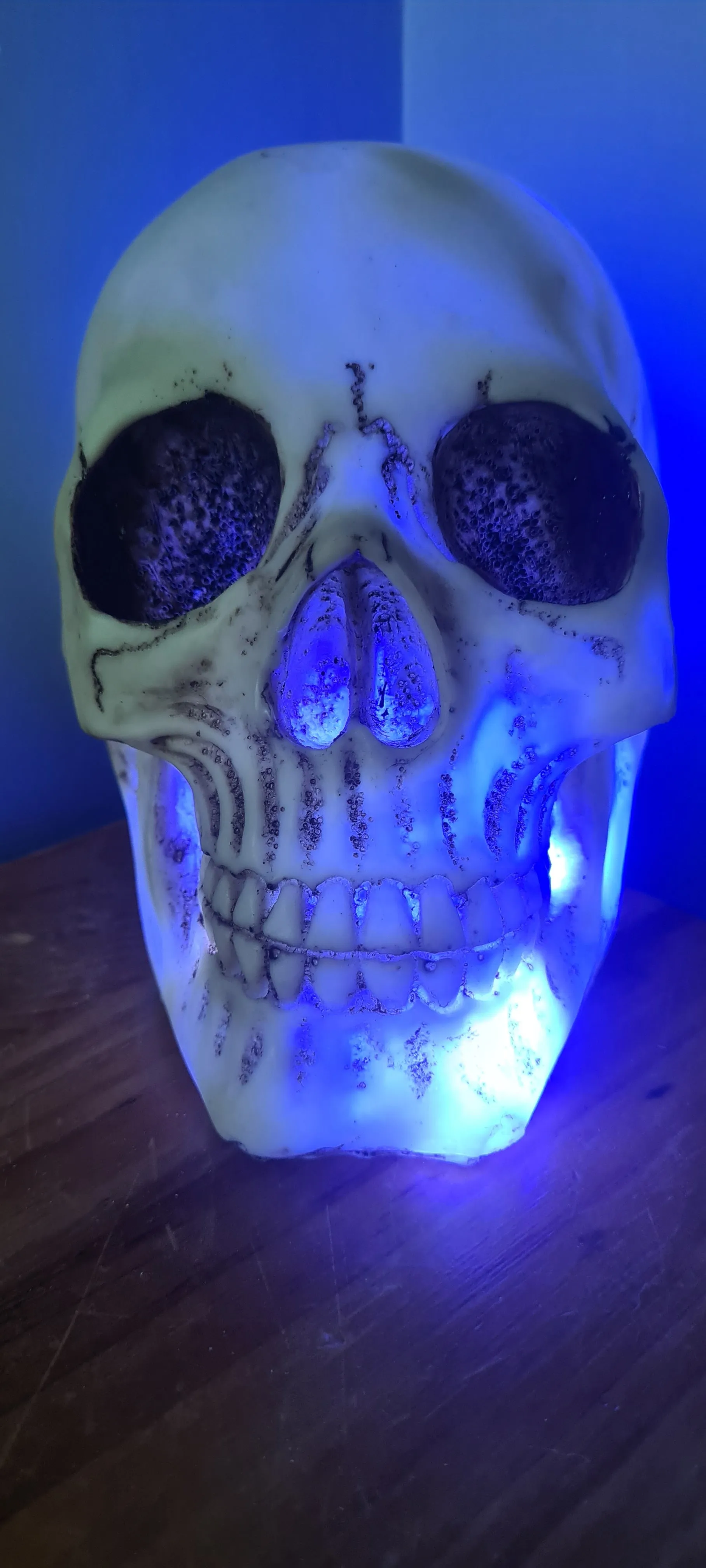 SKULL LAMP-put together by me
