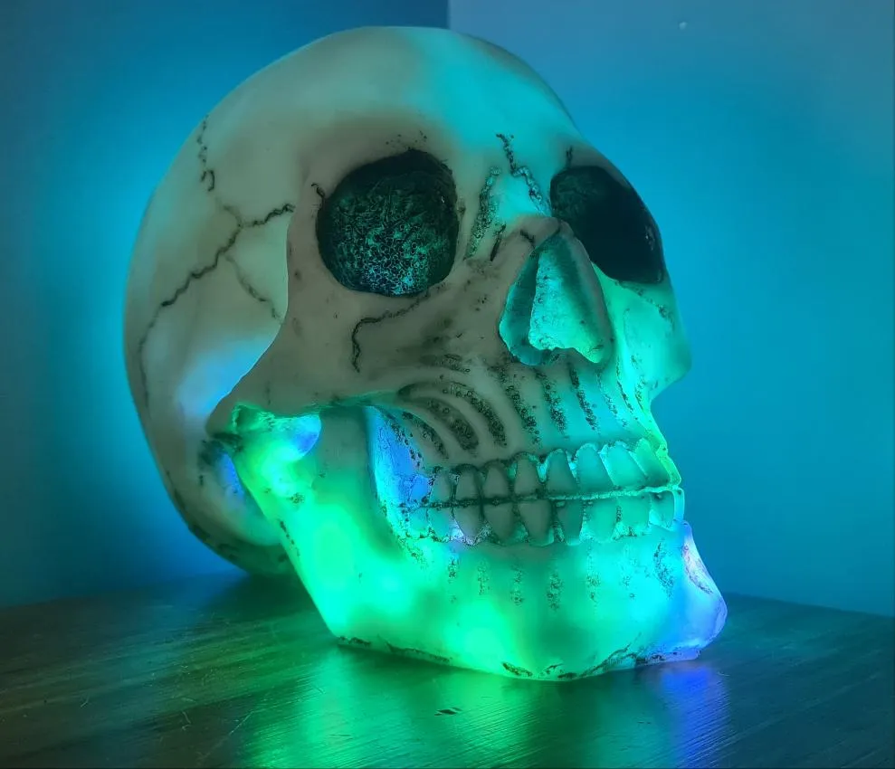 SKULL LAMP-put together by me