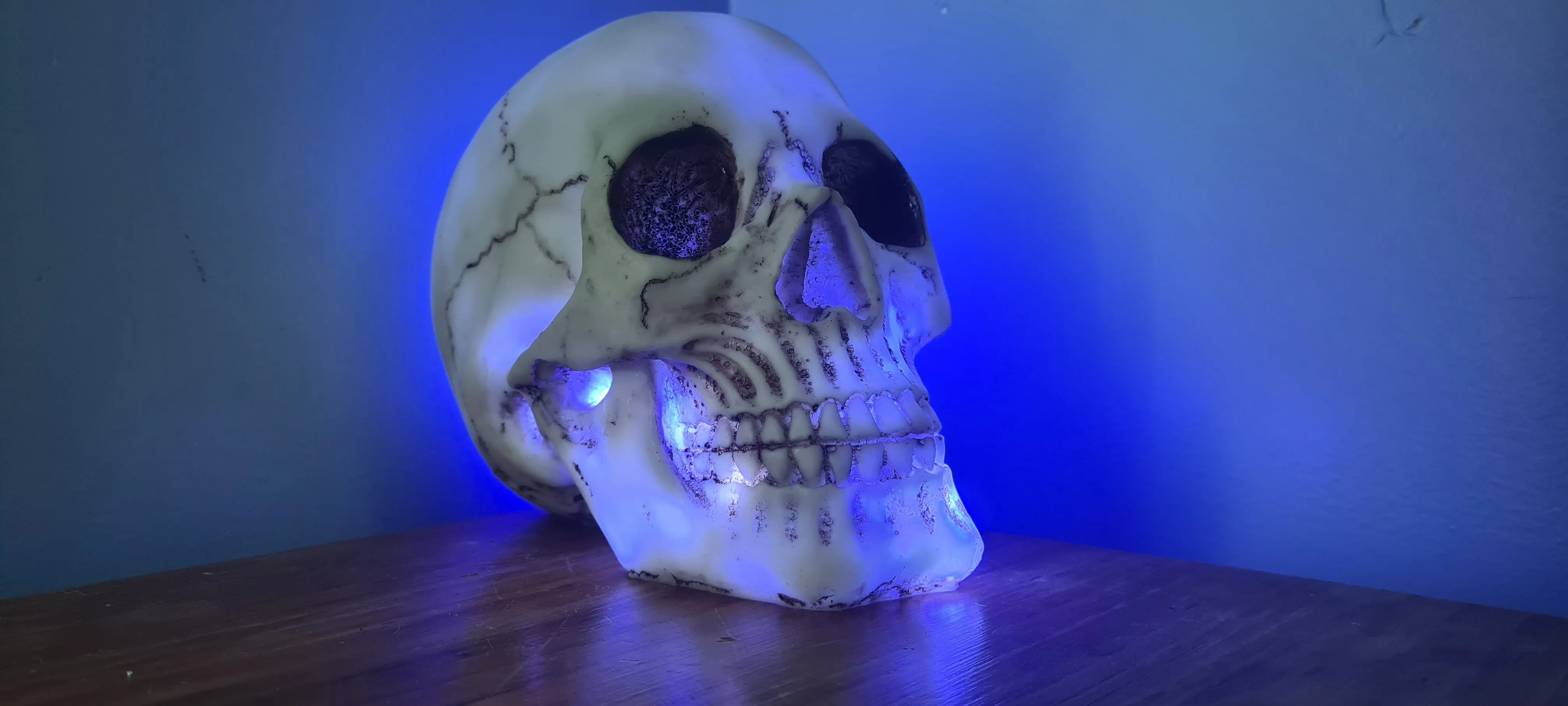 SKULL LAMP-put together by me