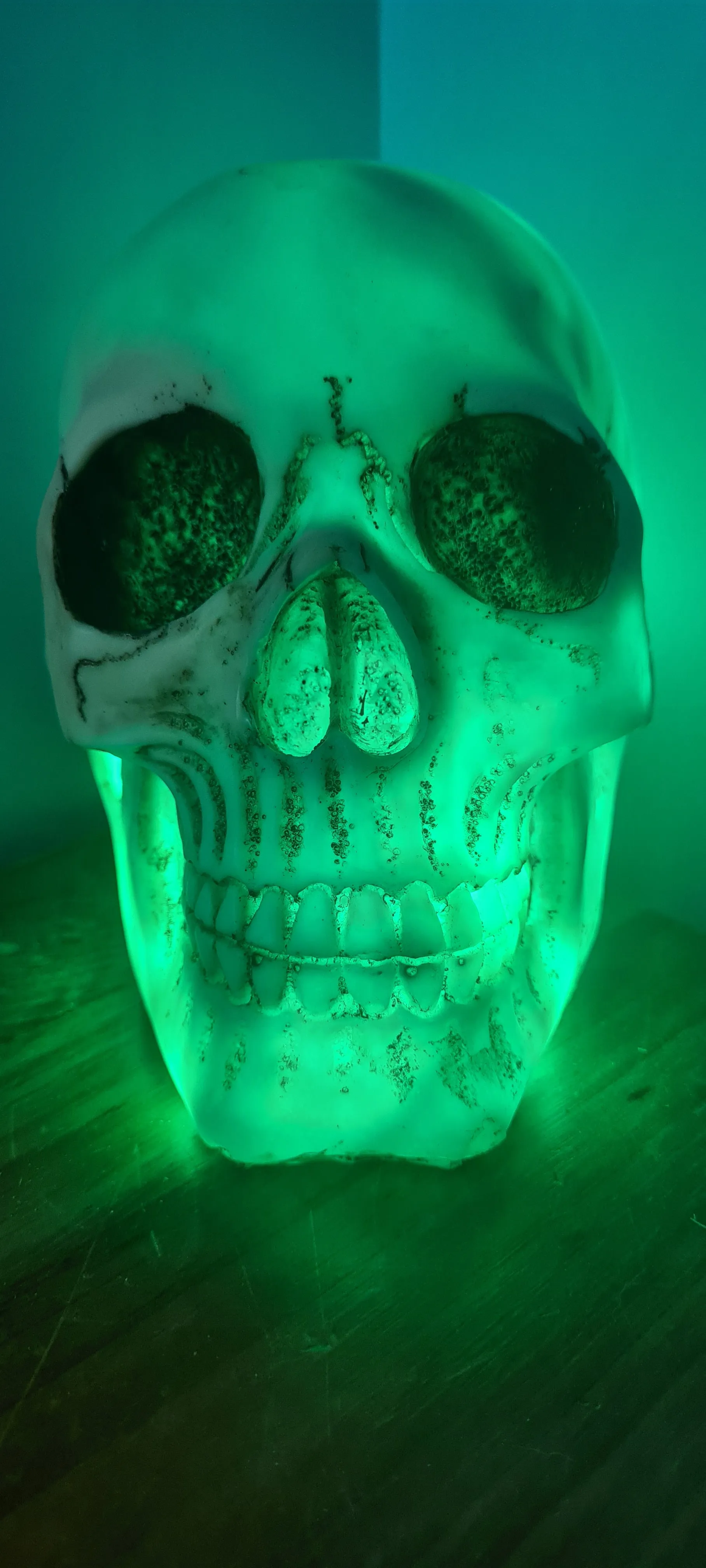 SKULL LAMP-put together by me