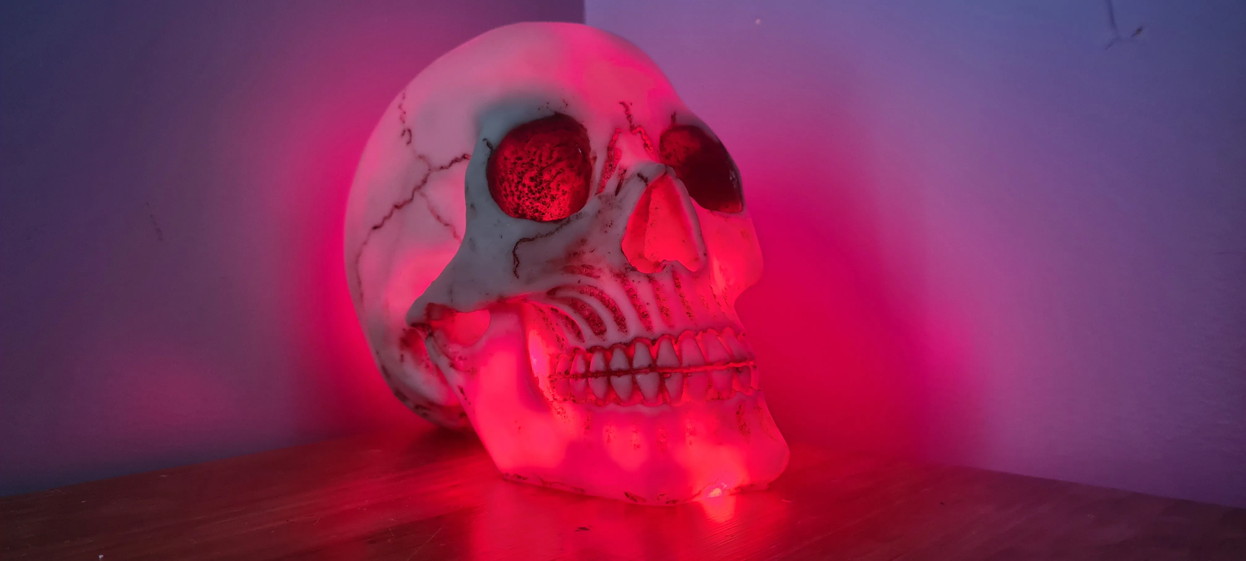 SKULL LAMP-put together by me