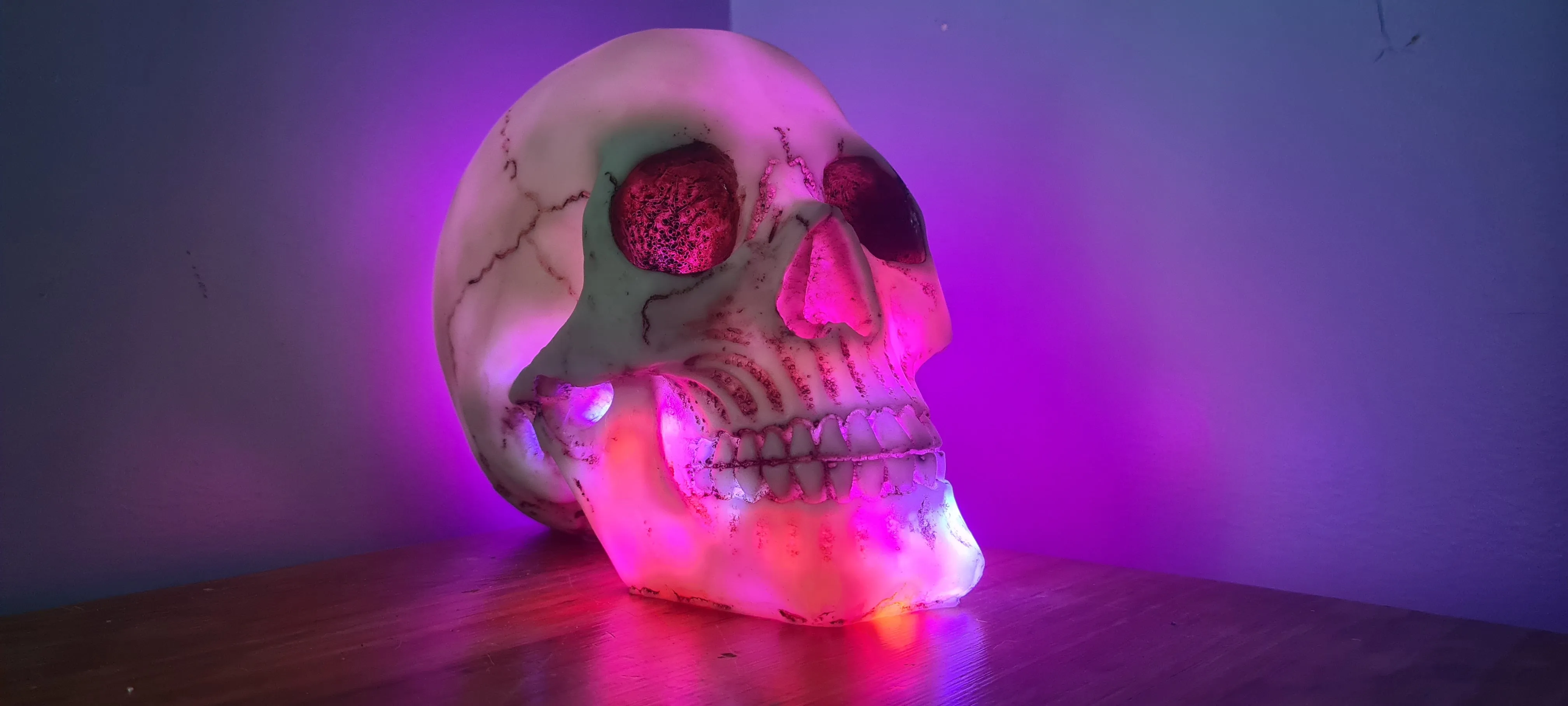 SKULL LAMP-put together by me