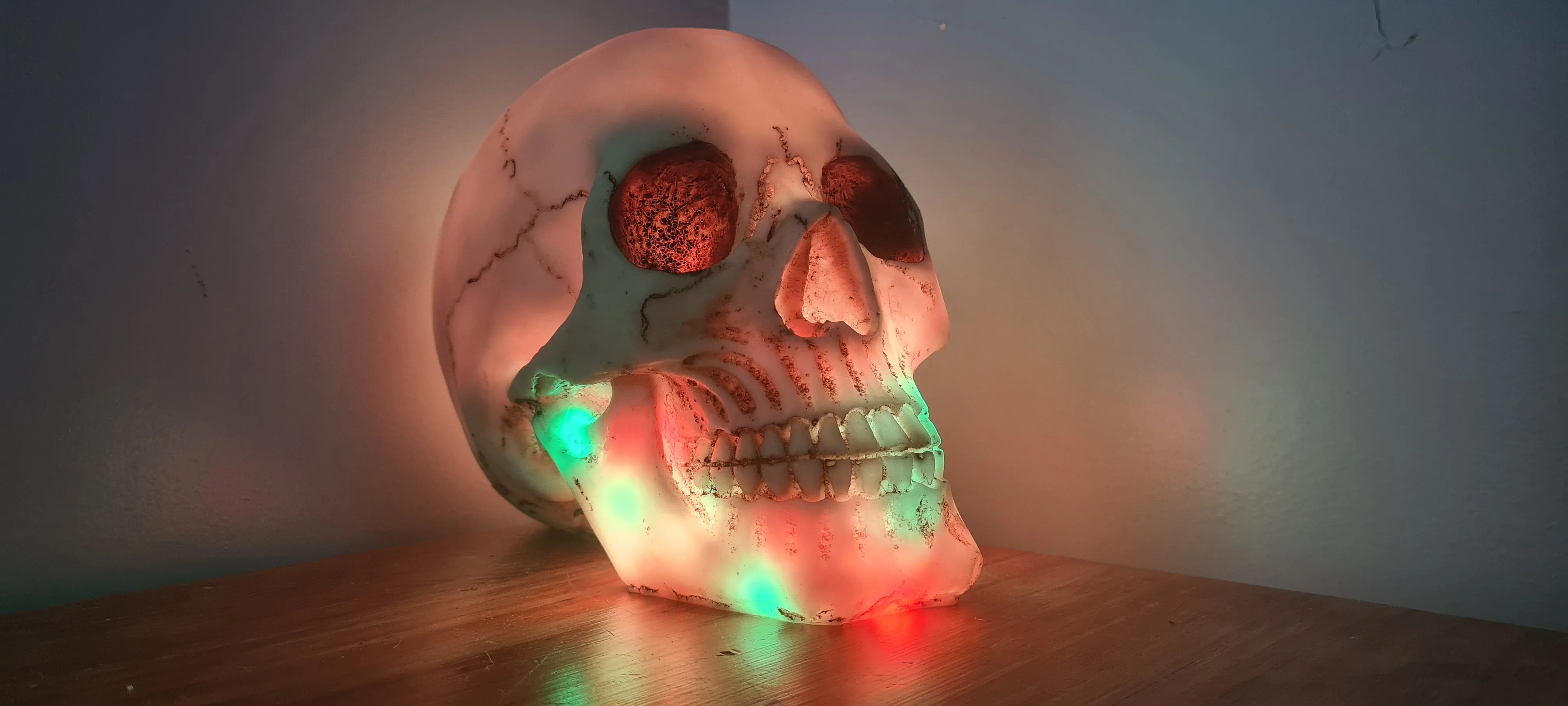 SKULL LAMP-put together by me