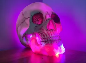 SKULL LAMP-put together by me
