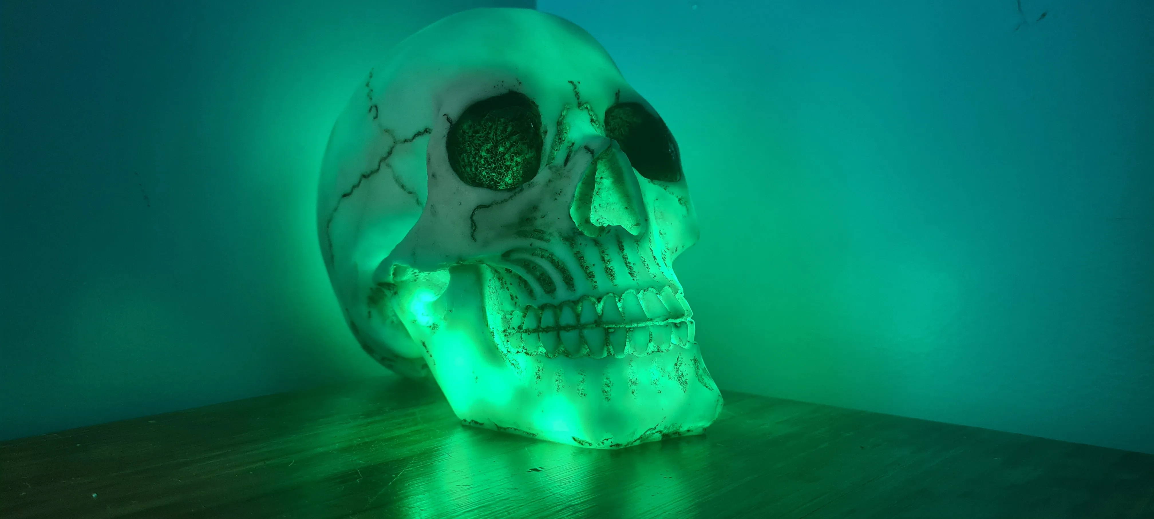 SKULL LAMP-put together by me