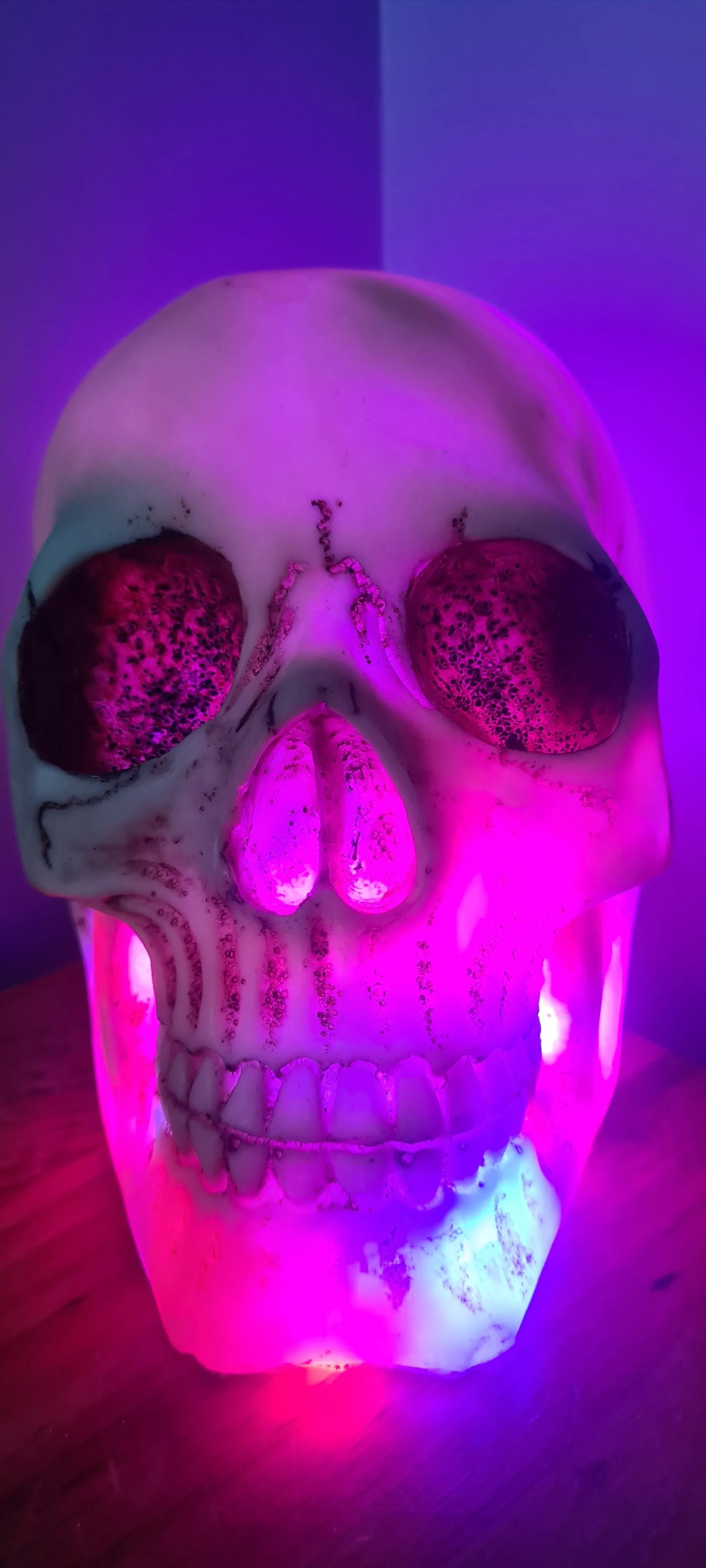 SKULL LAMP-put together by me