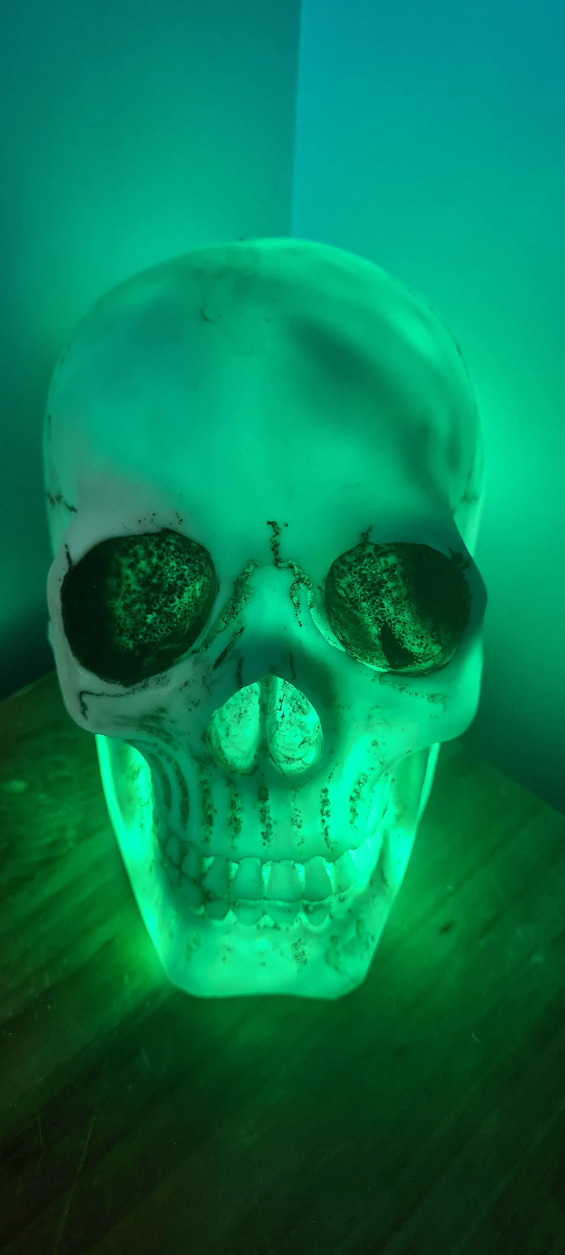 SKULL LAMP-put together by me