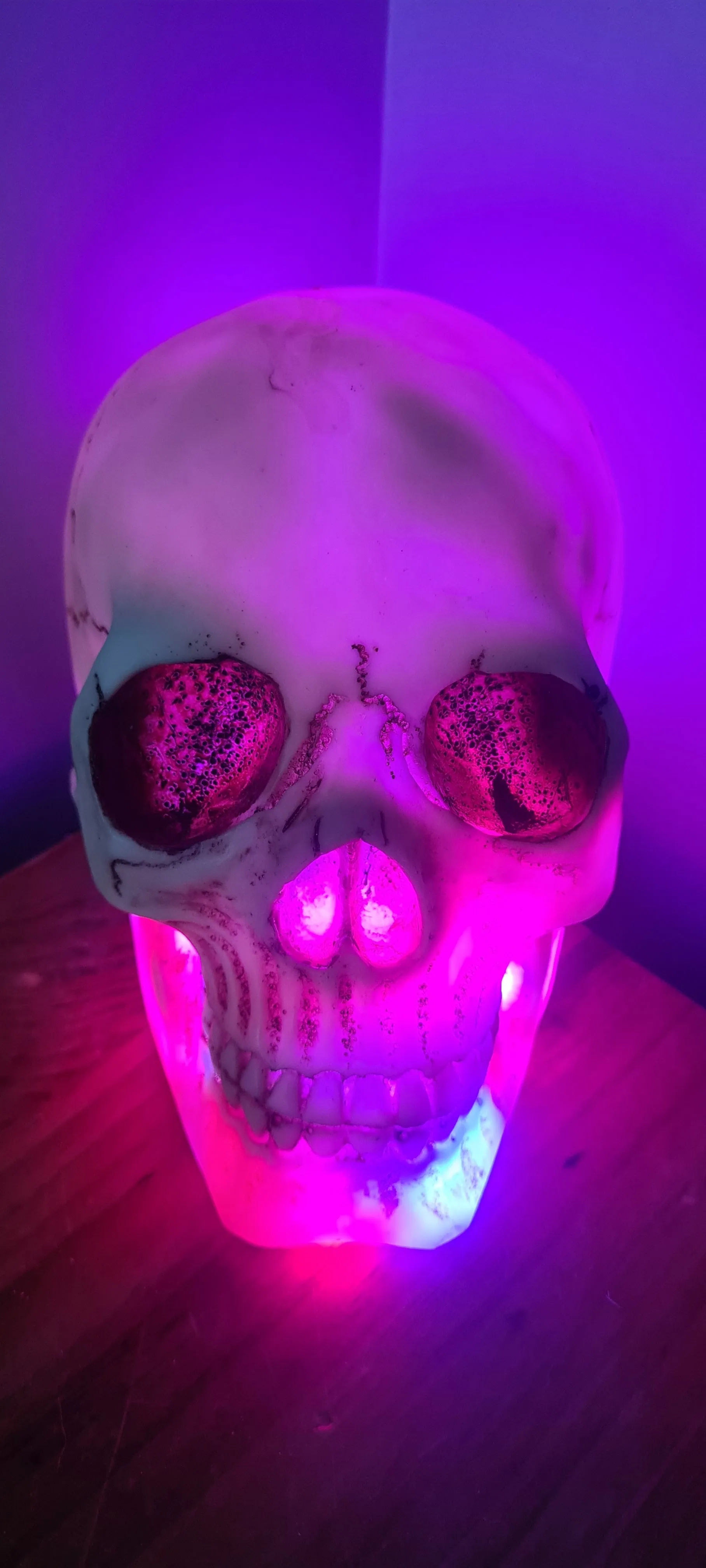SKULL LAMP-put together by me