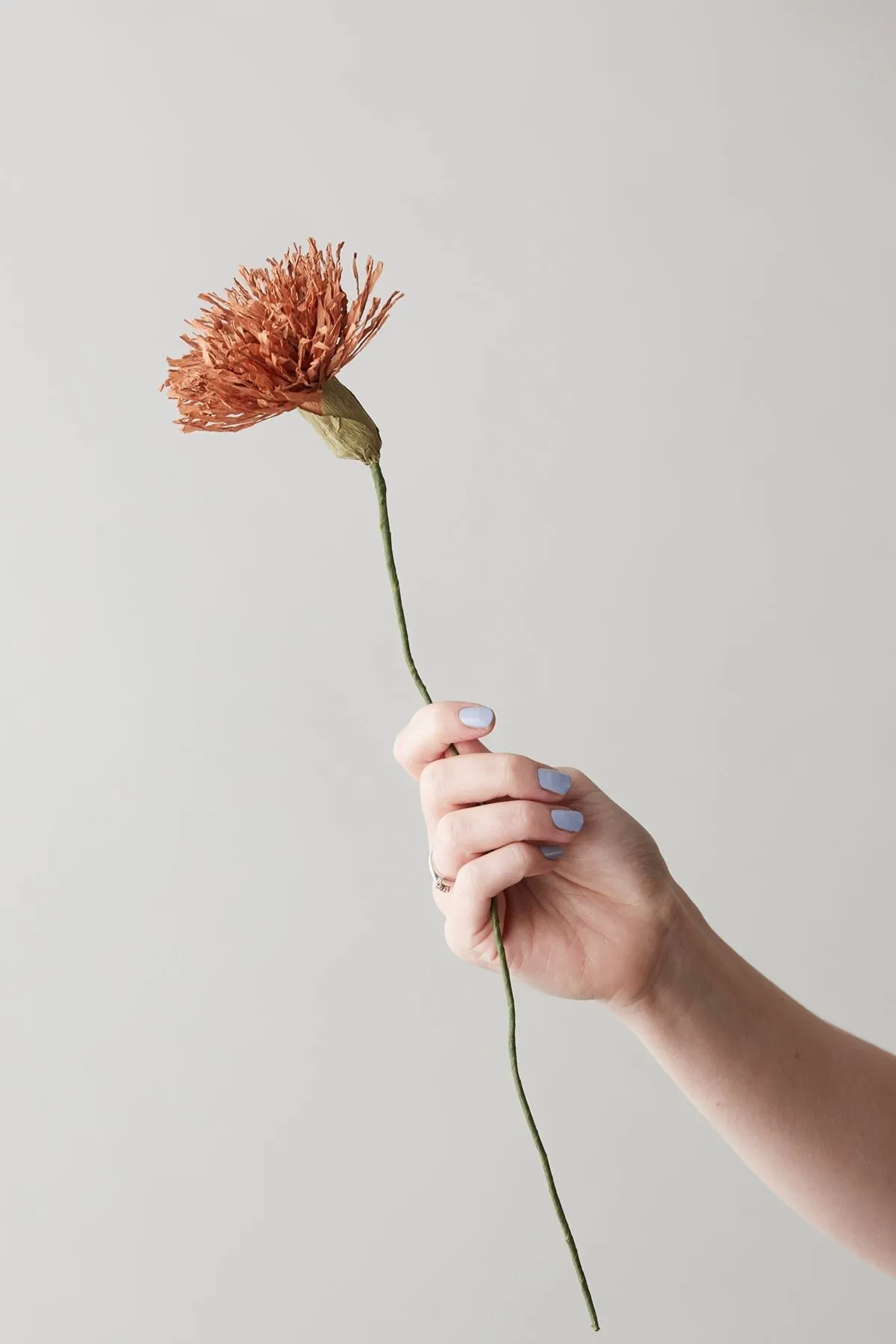 Studio About Paper Flower Chrysanthemum, Dark Ochre