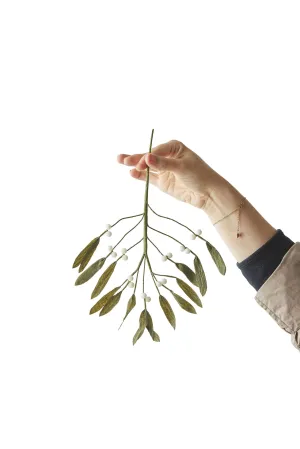 Studio About Paper Flower Mistletoe, Green