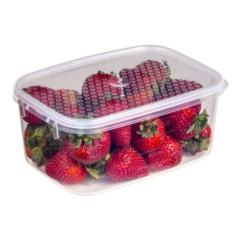 Tellfresh Oblong, 1L