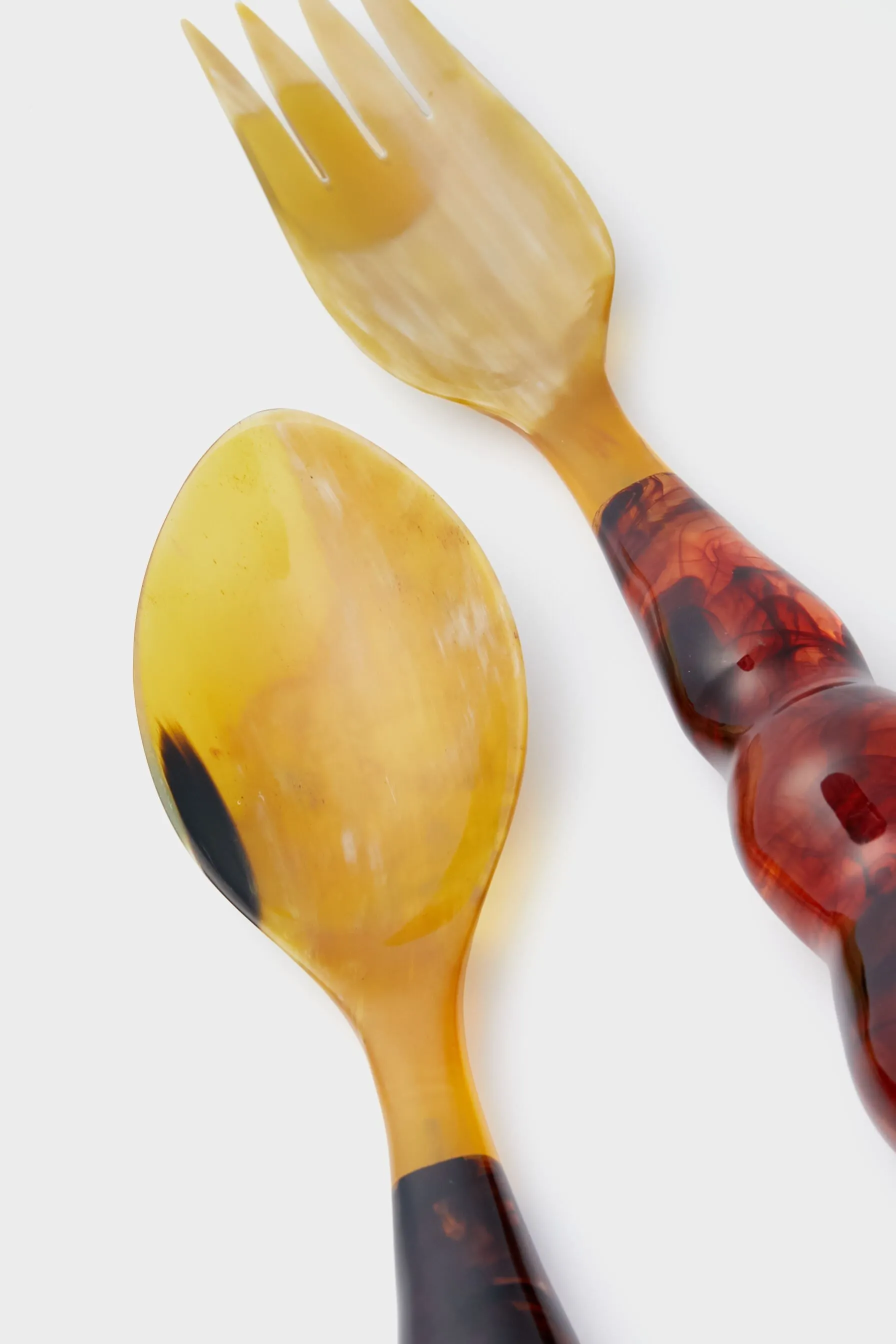 Tortoise Mardi Gras Servers