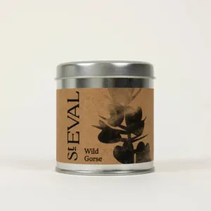 Wild Gorse Scented Tin Candle