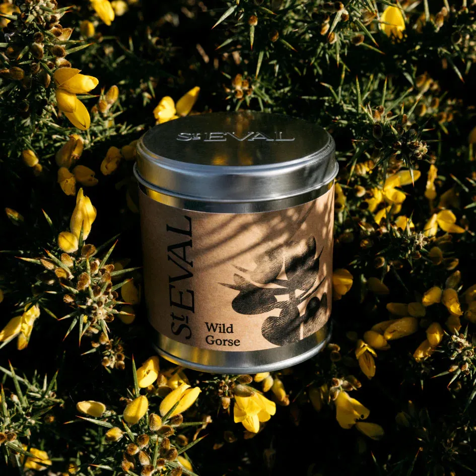 Wild Gorse Scented Tin Candle