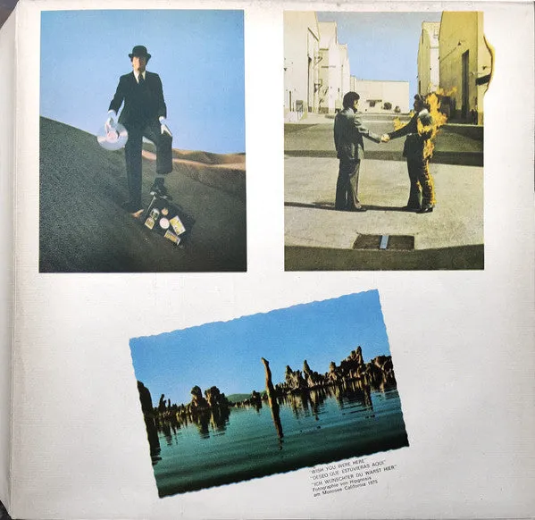 Wish You Were Here / Deseo Que Estuvieras Aqui